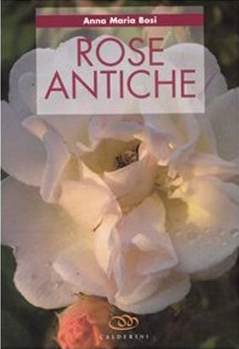 ROSE ANTICHE ROSE ANTICHE libro