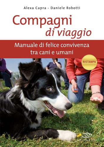 COMPAGNI DI VIAGGIO COMPAGNI DI VIAGGIO libro