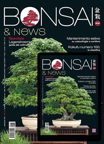 BONSAI & NEWS BONSAI & NEWS abbonamento rivista