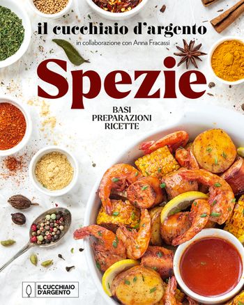 IL CUCCHIAIO D'ARGENTO - SPEZIE IL CUCCHIAIO D'ARGENTO - SPEZIE libro