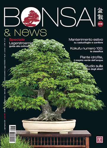 Bonsai & News