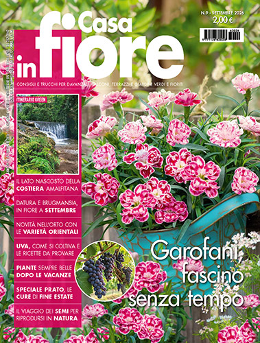 Casa in fiore - fiori da appartamento