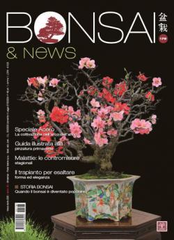 Miniatura rivista BONSAI & NEWS