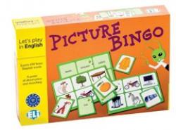 Picture Bingo 