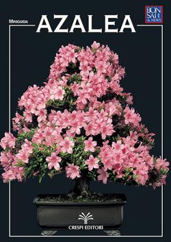 AZALEA - miniguida Bonsai & News Anteprima rivista digitale AZALEA - miniguida Bonsai & News