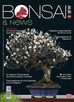 Miniatura rivista BONSAI & NEWS