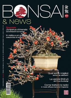 Miniatura rivista BONSAI & NEWS