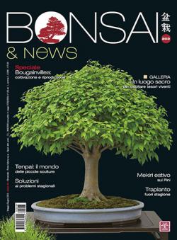 Miniatura rivista BONSAI & NEWS