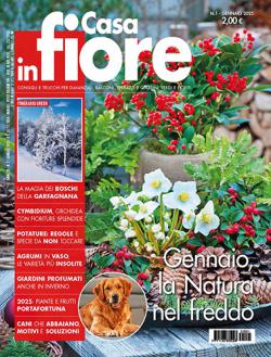 Miniatura rivista CASA IN FIORE