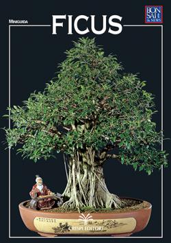 FICUS - miniguida Bonsai & News Anteprima rivista digitale FICUS - miniguida Bonsai & News