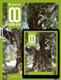 OLIVO E OLIO Anteprima rivista OLIVO E OLIO