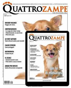 QUATTRO ZAMPE Anteprima rivista QUATTRO ZAMPE