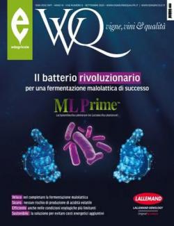VVQ VIGNE E VINI & QUALITA'  abbonamento rivista