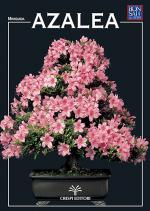 Anteprima rivista AZALEA - miniguida Bonsai & News