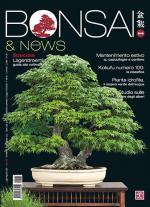 Anteprima rivista BONSAI & NEWS