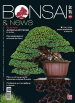 Anteprima rivista BONSAI & NEWS