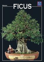 Anteprima rivista digitale FICUS - miniguida Bonsai & News