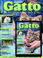 GATTO MAGAZINE