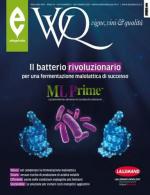 VVQ VIGNE E VINI & QUALITA' Anteprima rivista VVQ VIGNE E VINI & QUALITA'